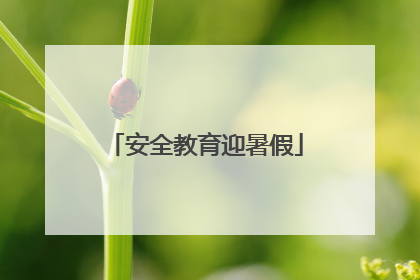 安全教育迎暑假